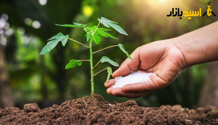 کاربرد اسید فسفریک در کشاورزی کاربرد اسید فسفریک در کشاورزی