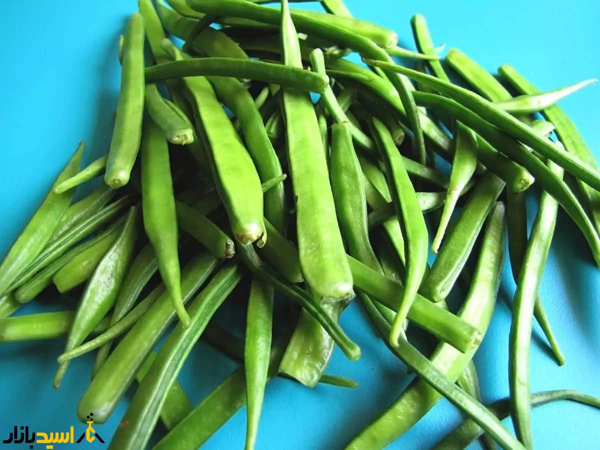 گوارگام گوارگام