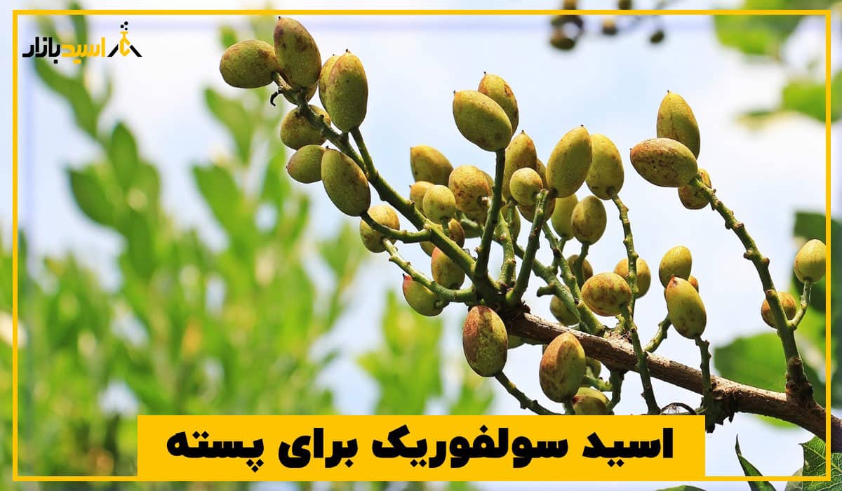 اسید سولفوریک برای پسته اسید سولفوریک برای پسته