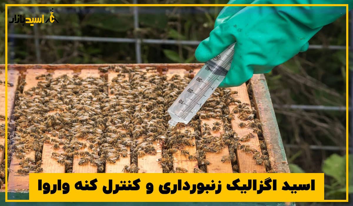 اسید اگزالیک زنبورداری و کنترل کنه واروا اسید اگزالیک زنبورداری و کنترل کنه واروا