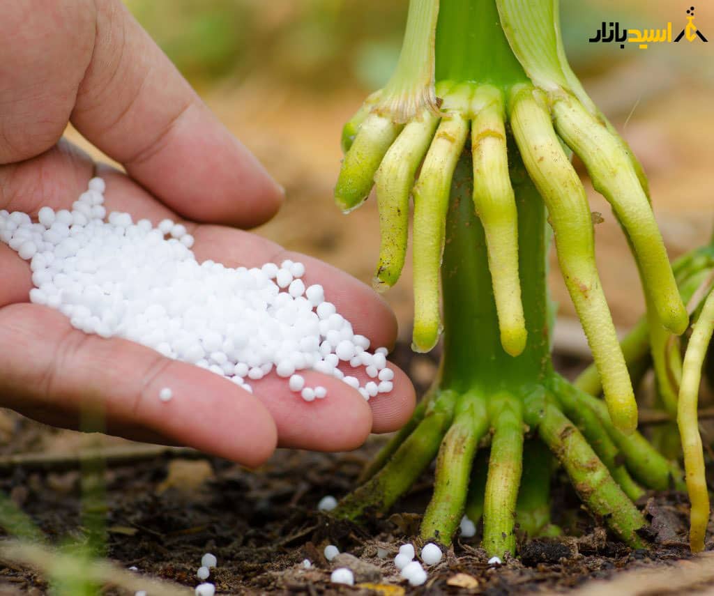 دوز مصرف اوره دوز مصرف اوره