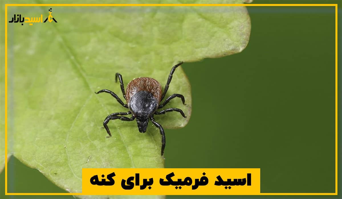 اسید فرمیک برای کنه اسید فرمیک برای کنه