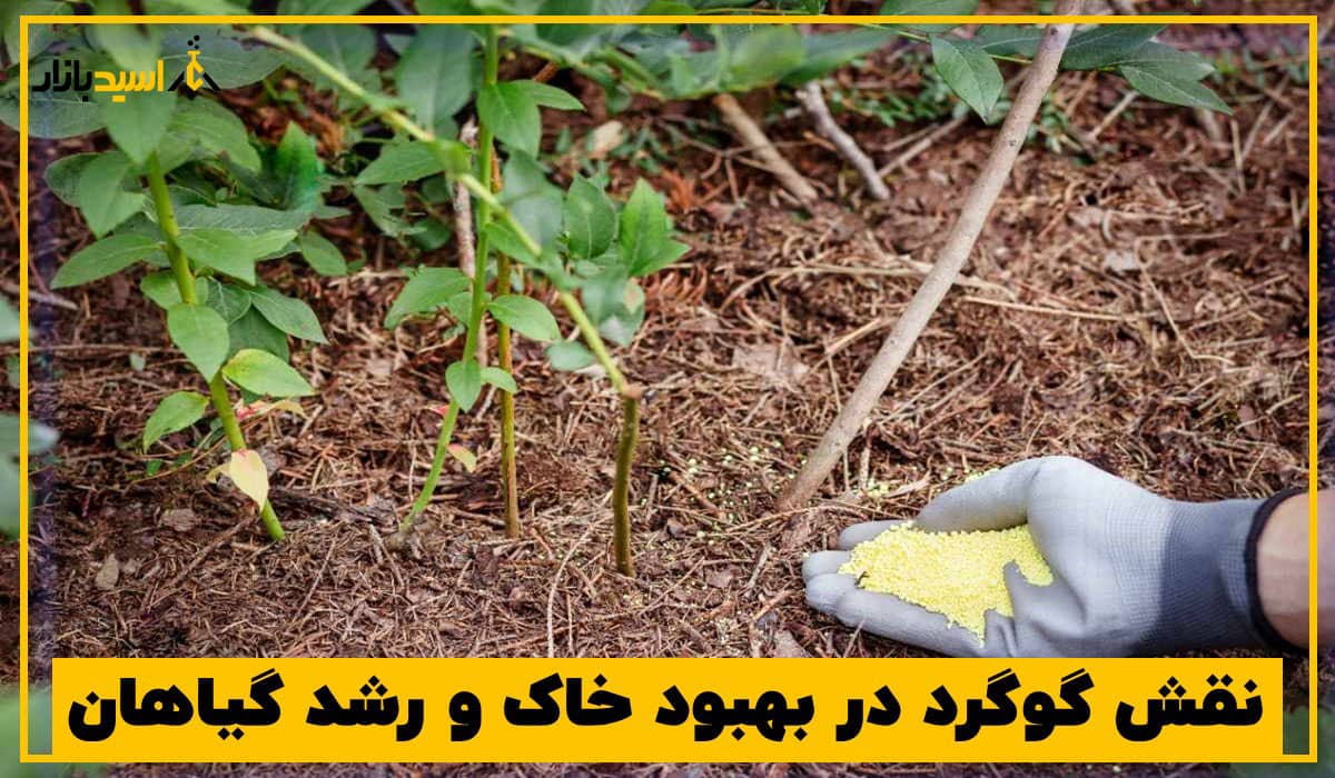 نقش گوگرد در بهبود خاک نقش گوگرد در بهبود خاک