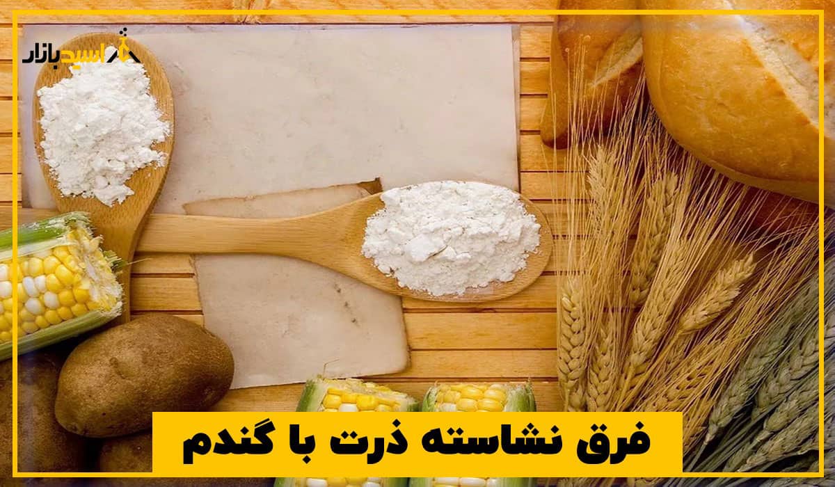 فرق نشاسته ذرت با گندم