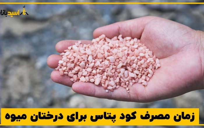زمان مصرف کود پتاس برای درختان میوه