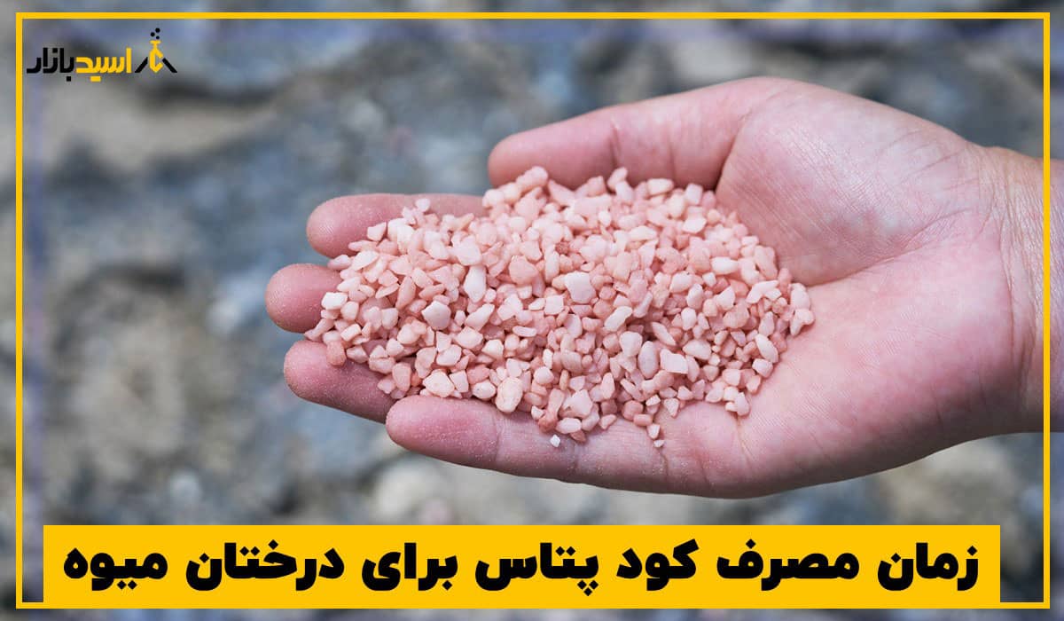زمان مصرف کود پتاس برای درختان میوه