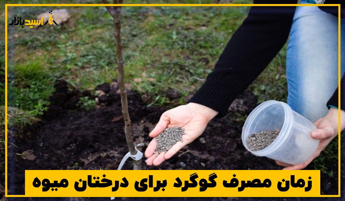 زمان مصرف گوگرد برای درختان میوه زمان مصرف گوگرد برای درختان میوه