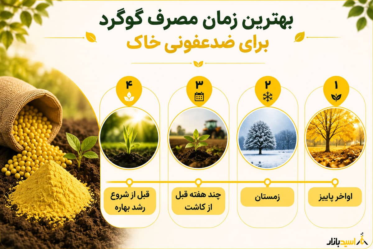 بهترین زمان مصرف گوگرد برای ضدعفونی خاک بهترین زمان مصرف گوگرد برای ضدعفونی خاک