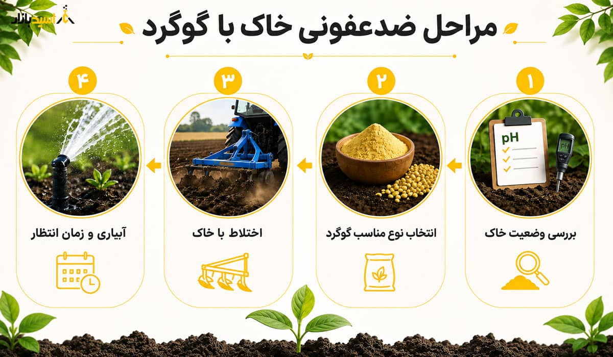 مراحل ضدعفونی خاک با گوگرد مراحل ضدعفونی خاک با گوگرد