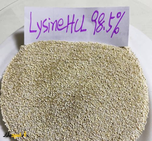 L-Lysine HCl پودری