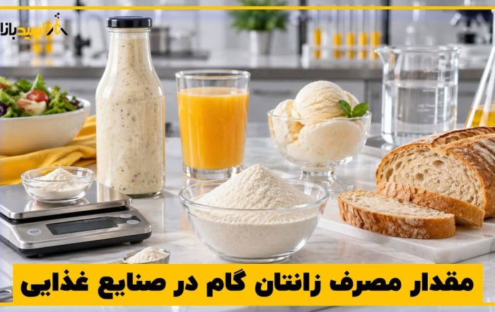 مقدار مصرف زانتان گام در صنایع غذایی