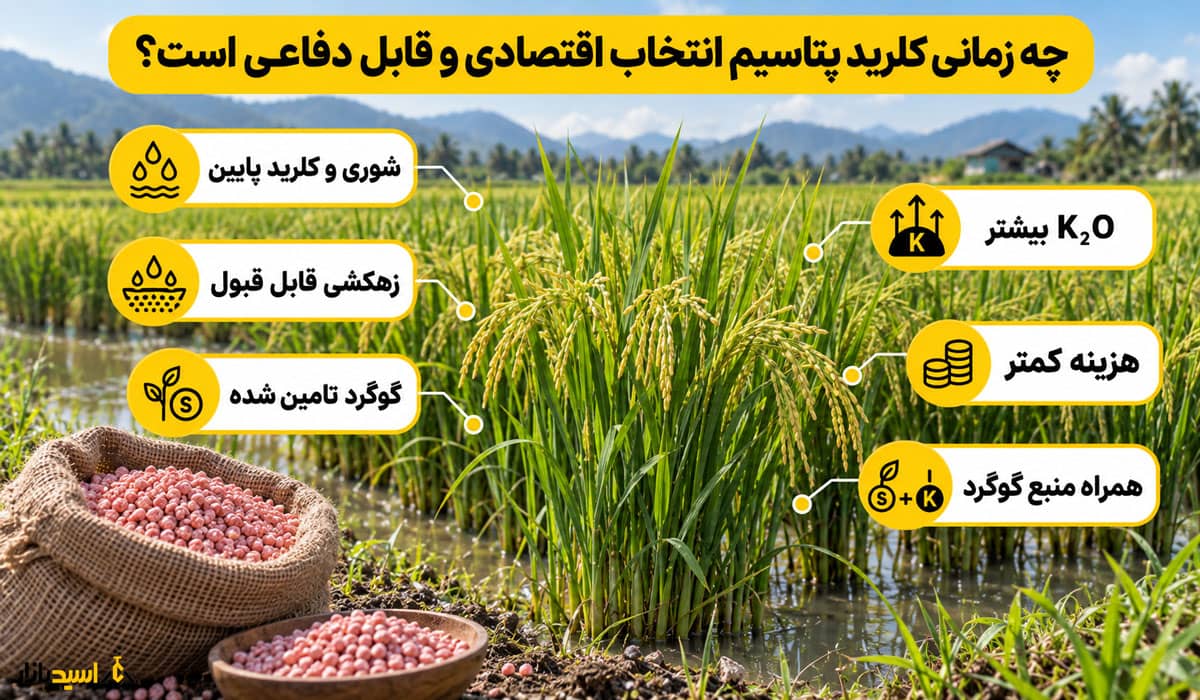 چه زمانی کلرید پتاسیم انتخاب اقتصادی و قابل دفاعی است؟ چه زمانی کلرید پتاسیم انتخاب اقتصادی و قابل دفاعی است؟