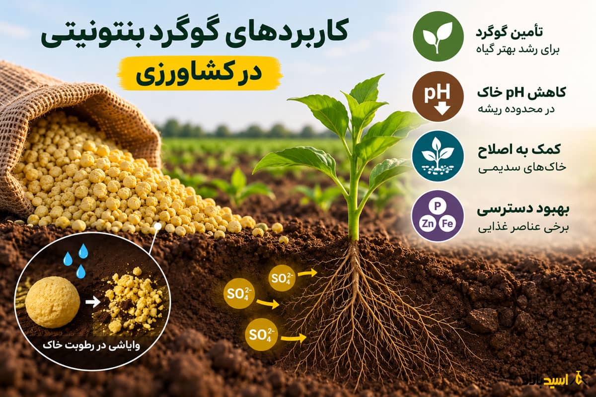 کاربردهای گوگرد بنتونیتی در کشاورزی کاربردهای گوگرد بنتونیتی در کشاورزی
