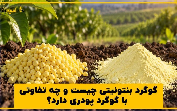 گوگرد بنتونیتی چیست و چه تفاوتی با گوگرد پودری دارد؟