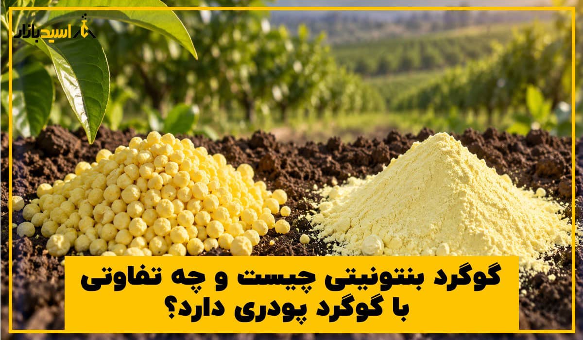 گوگرد بنتونیتی چیست و چه تفاوتی با گوگرد پودری دارد؟ گوگرد بنتونیتی چیست و چه تفاوتی با گوگرد پودری دارد؟