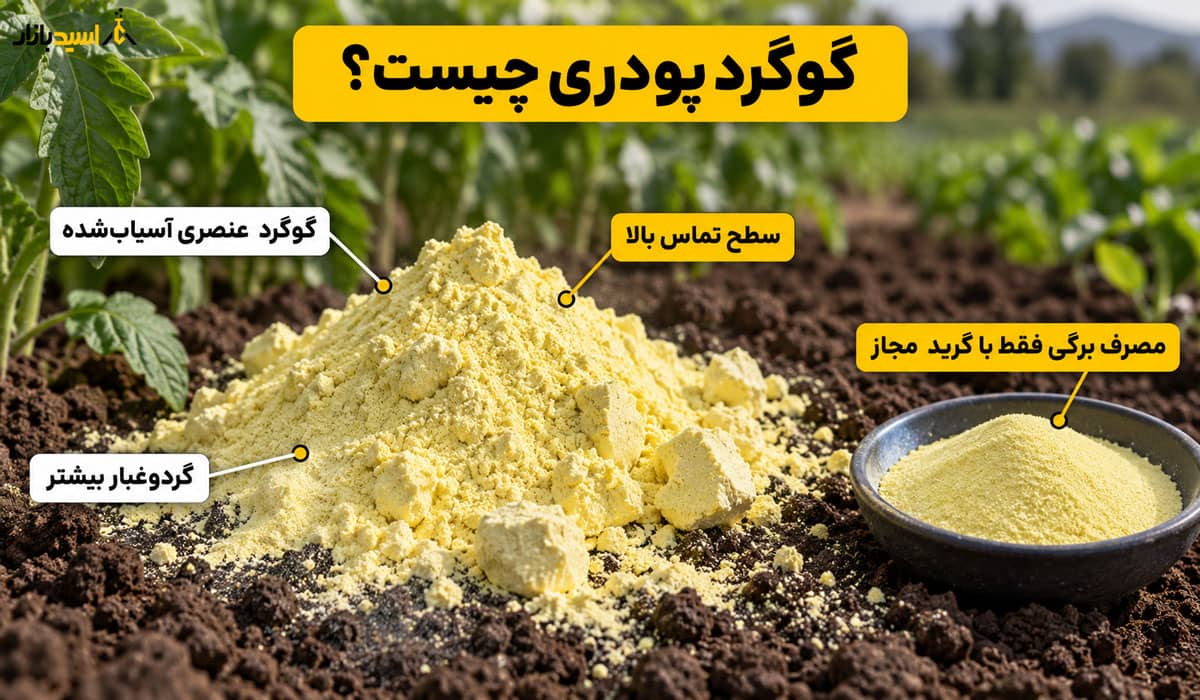 گوگرد پودری چیست؟ گوگرد پودری چیست؟